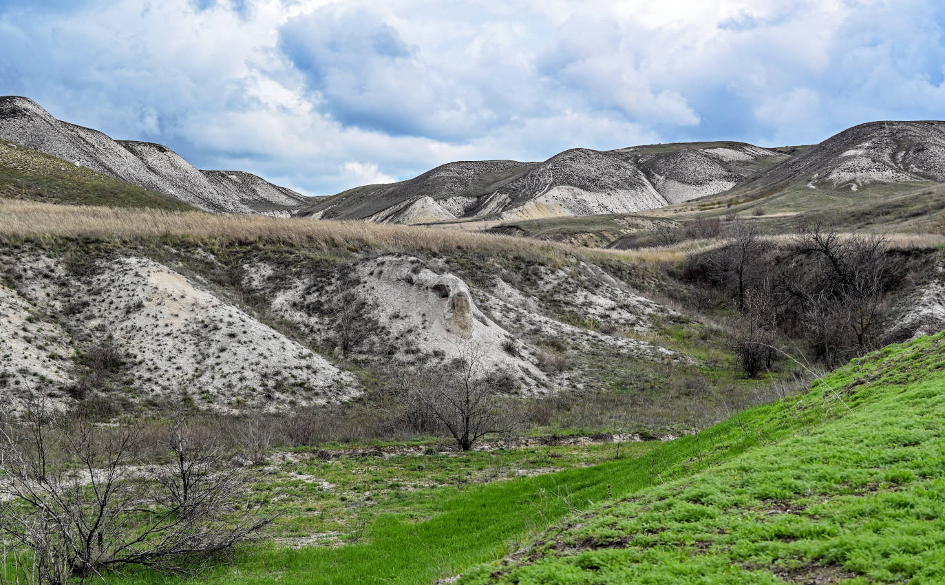 Природный парк "Донской", image of landscape/habitat.
