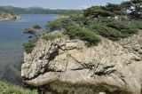 Image of landscape