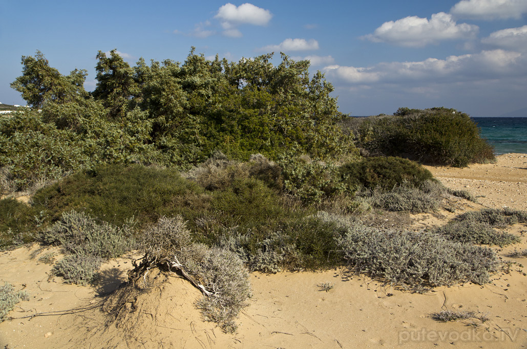 Остров Парос, image of landscape/habitat.