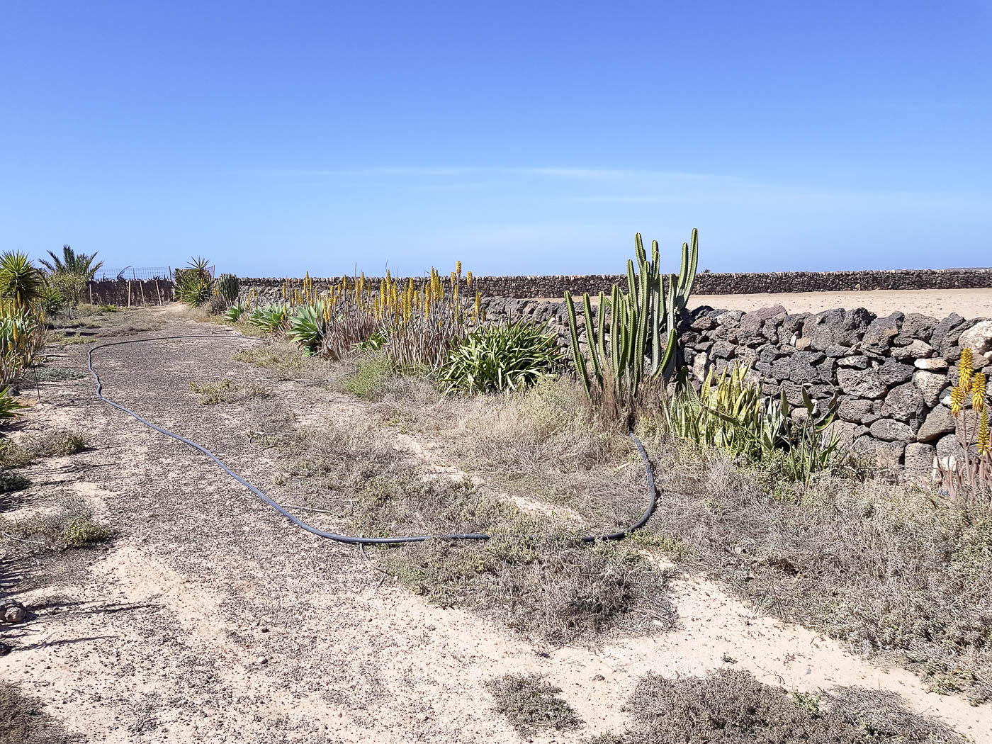 Эль Котильо и окрестности, image of landscape/habitat.