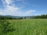 Image of landscape