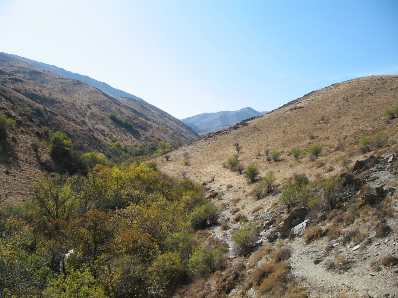 Беркара, image of landscape/habitat.