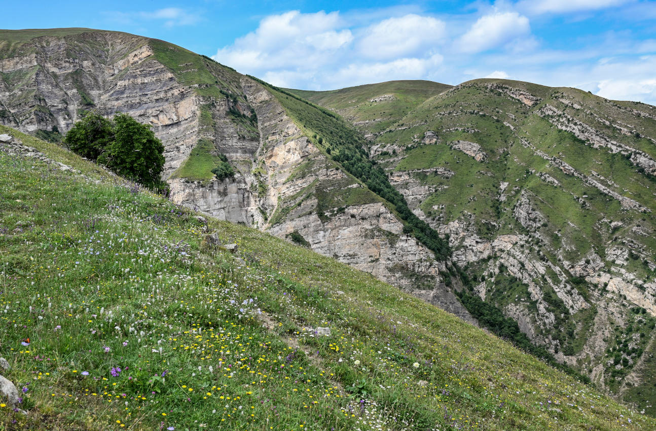 Покинутое село Гамсутль, image of landscape/habitat.