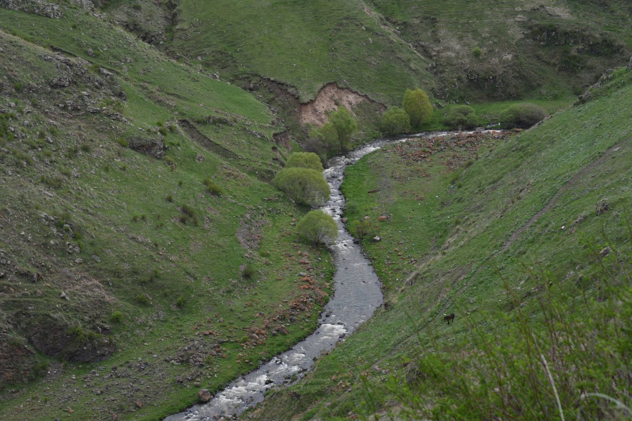 Окрестности Шайтан Калеси, image of landscape/habitat.
