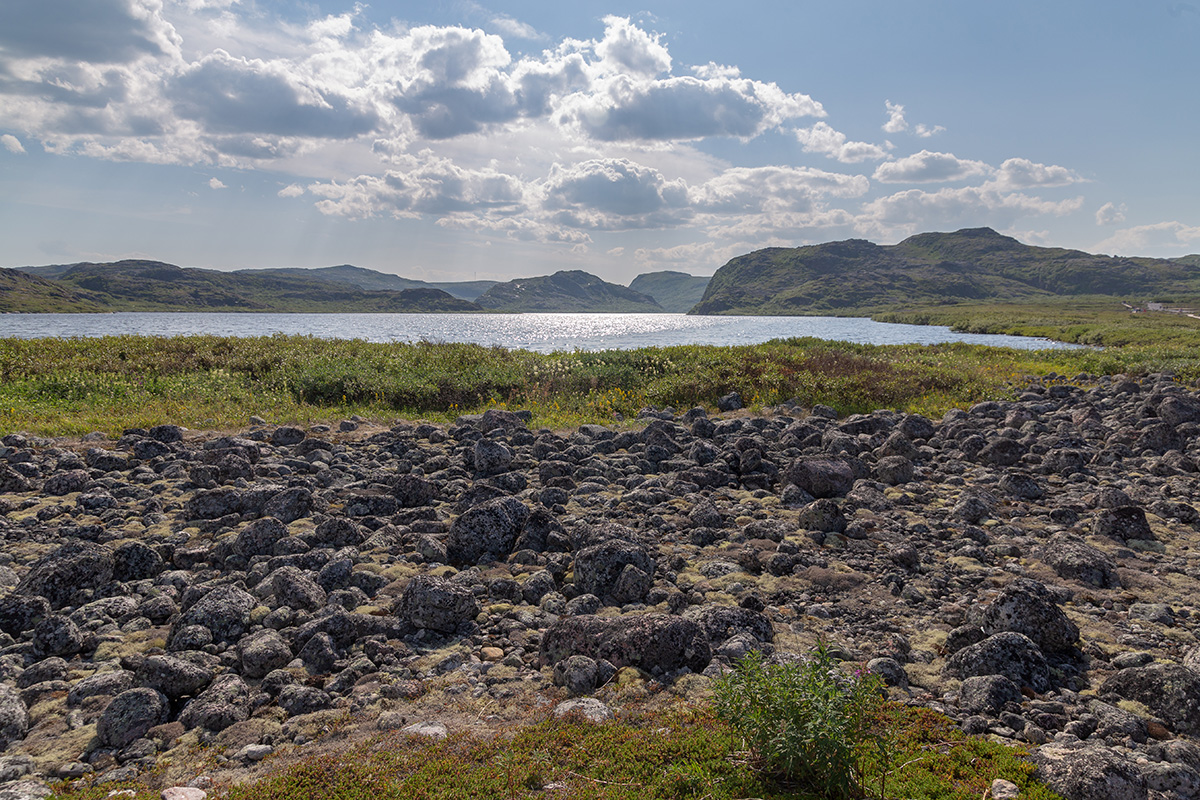 Териберка, image of landscape/habitat.