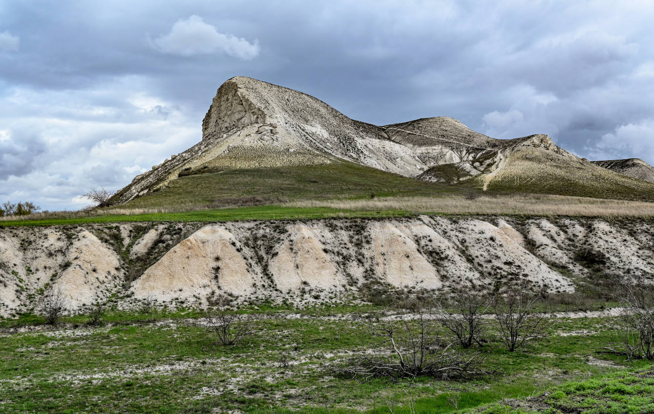Природный парк "Донской", image of landscape/habitat.