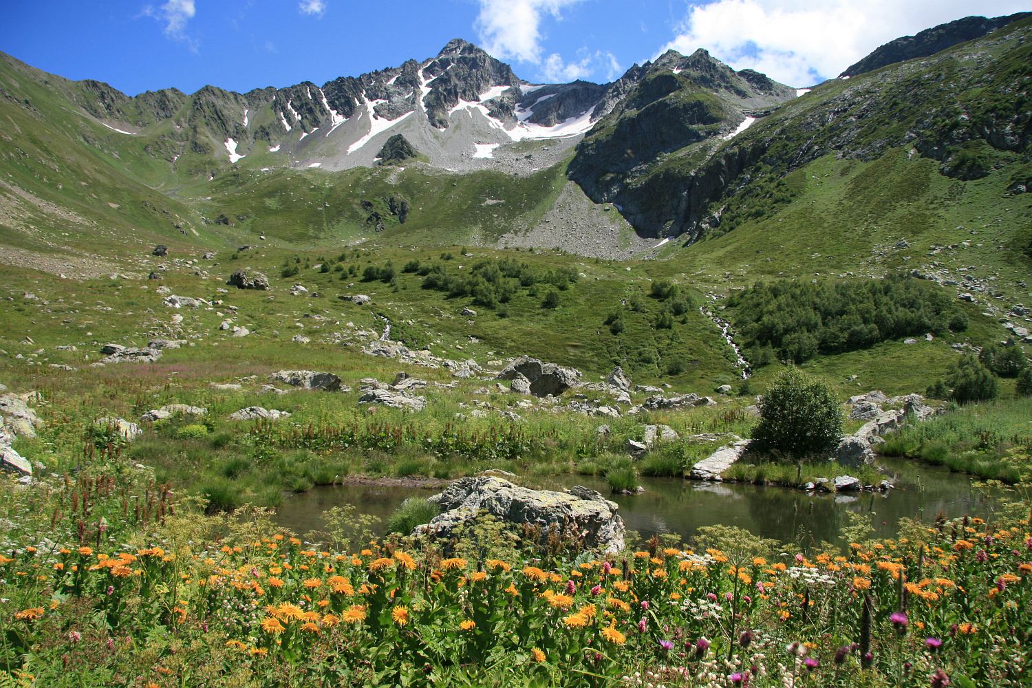Хребет Ужум, image of landscape/habitat.