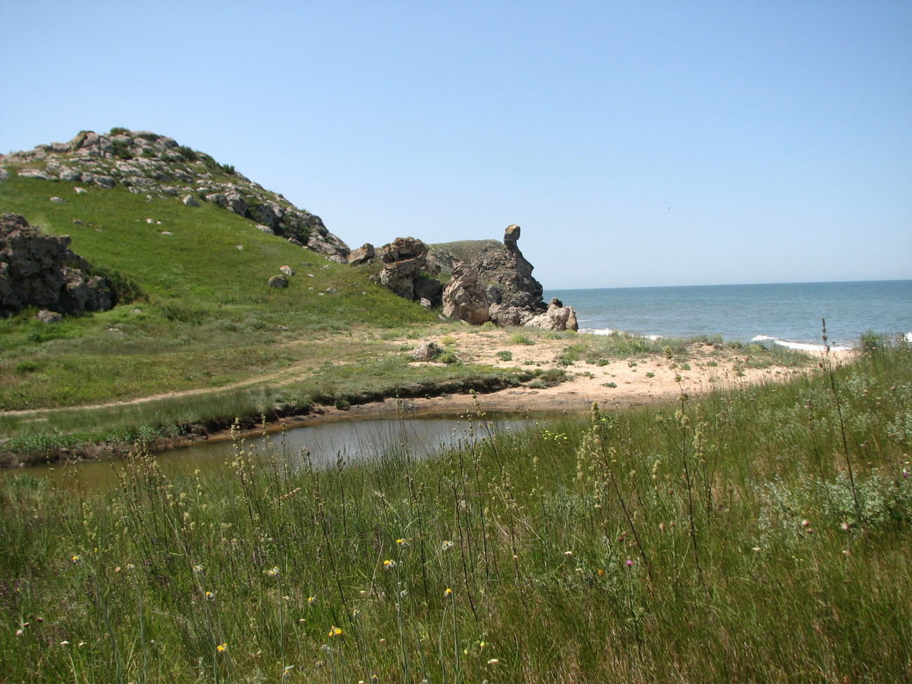 Караларская степь, image of landscape/habitat.