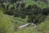 Image of landscape