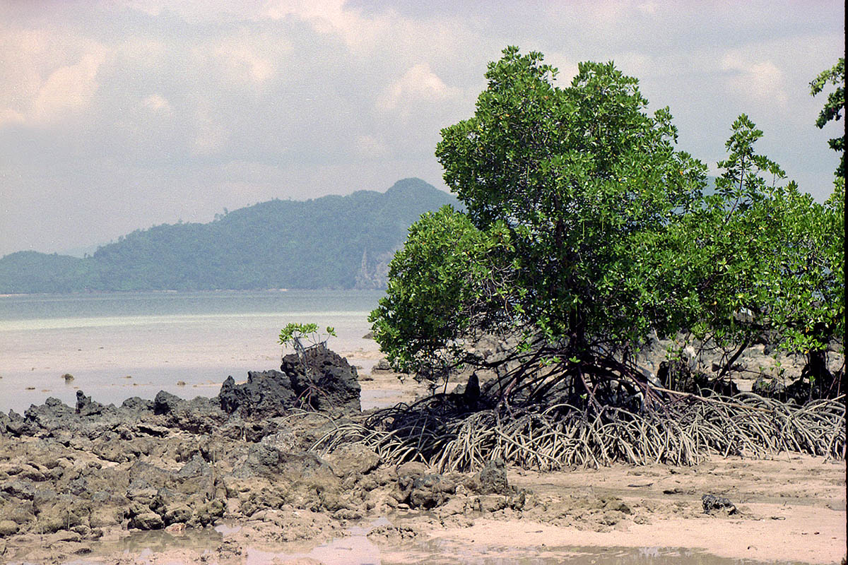 Ко Крадан, image of landscape/habitat.