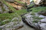 Image of landscape
