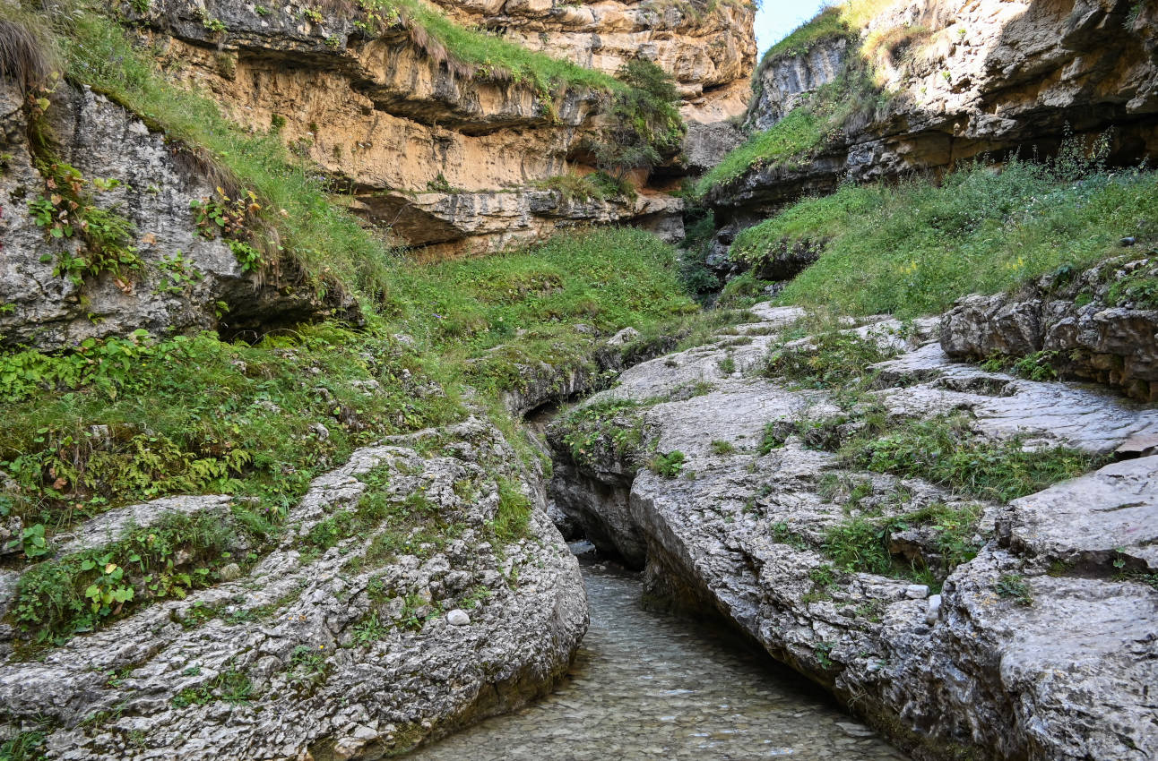 Салтинская теснина, image of landscape/habitat.