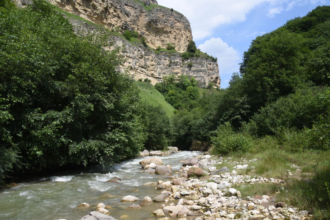 Минеральный Источник, image of landscape/habitat.