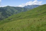 Image of landscape
