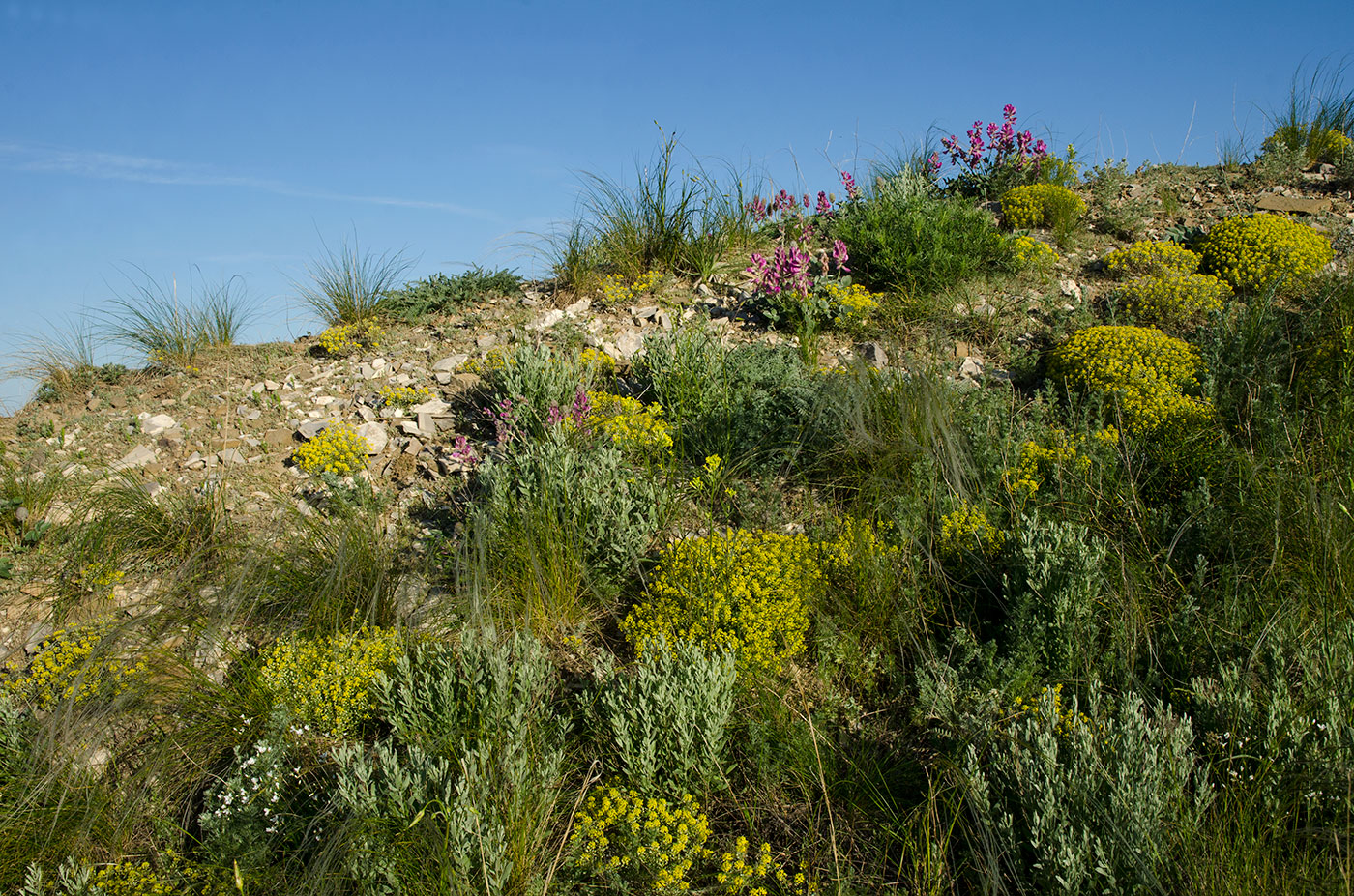 Ногайские горы, image of landscape/habitat.
