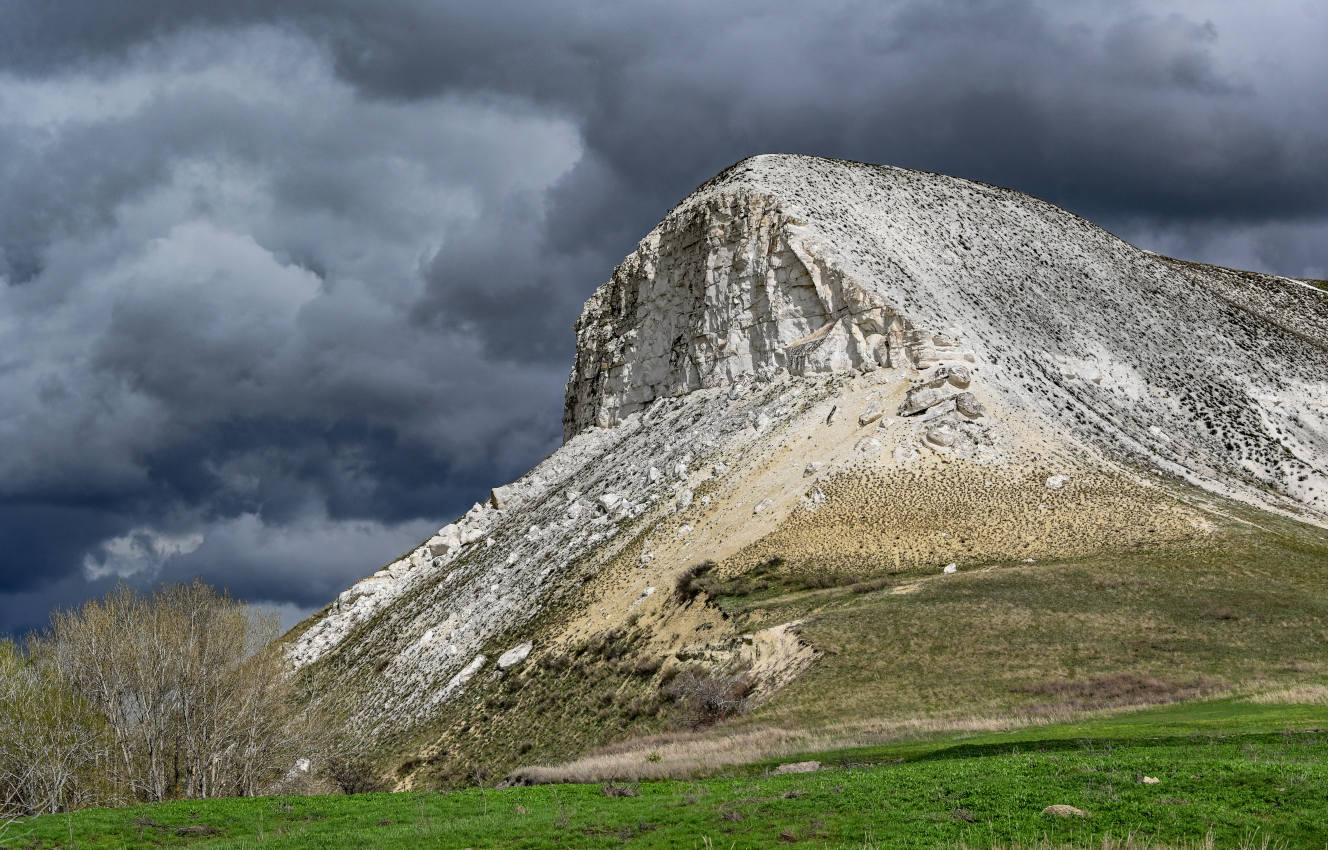 Природный парк "Донской", image of landscape/habitat.