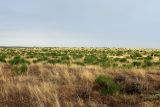 Image of landscape