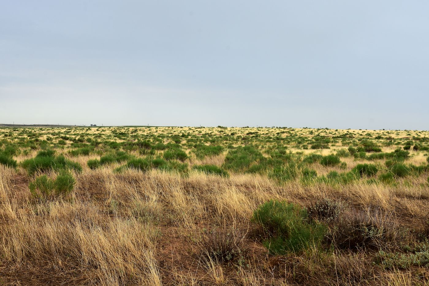 Бархан Большой Брат, image of landscape/habitat.