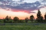 Image of landscape