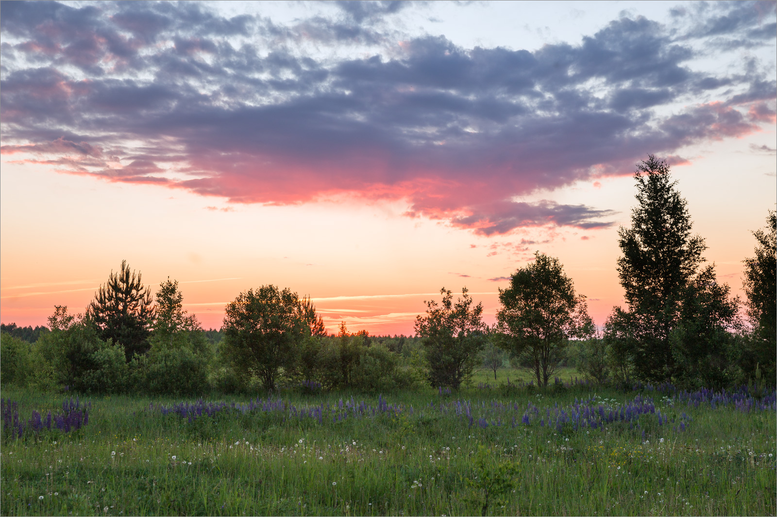 Тырышкино, image of landscape/habitat.