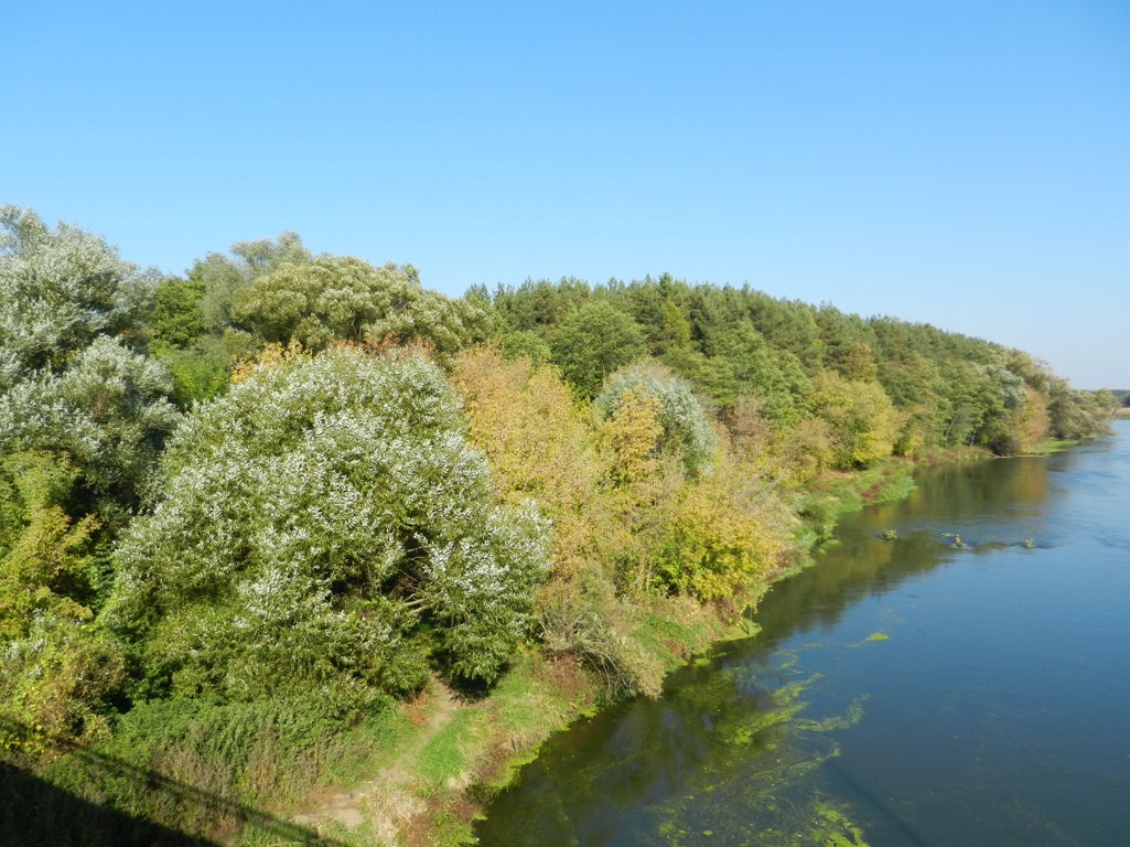 Павловский Посад и окрестности, image of landscape/habitat.