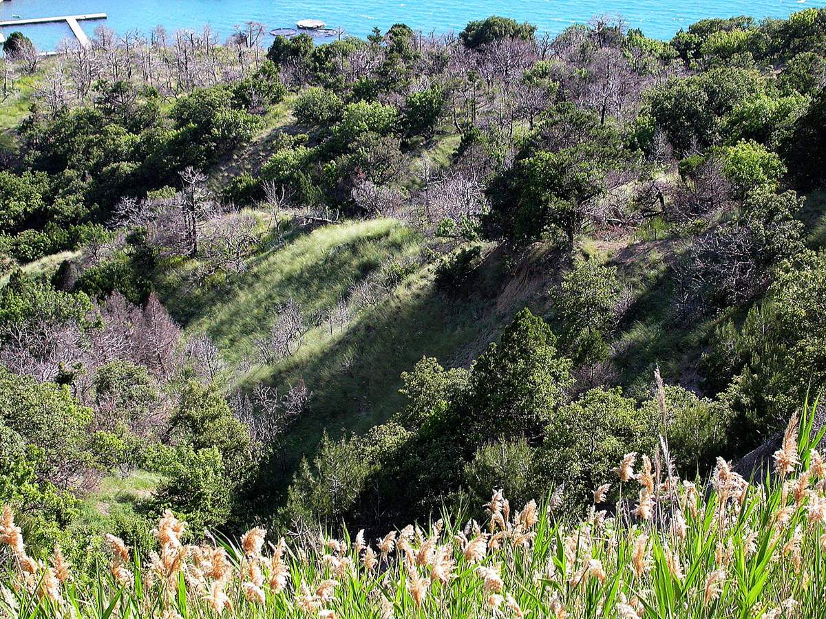 Батилиман, image of landscape/habitat.