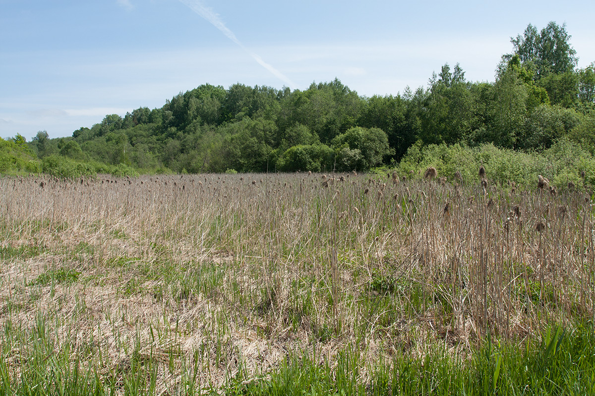 Изборско-Мальская долина, image of landscape/habitat.