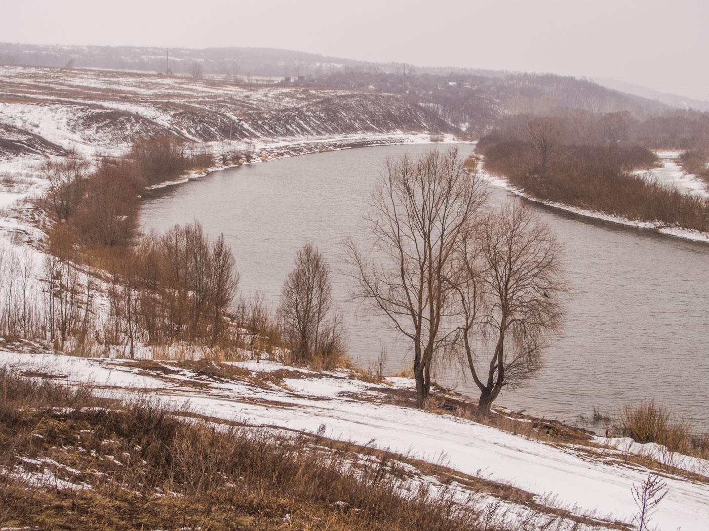 Правый берег реки Зай, image of landscape/habitat.