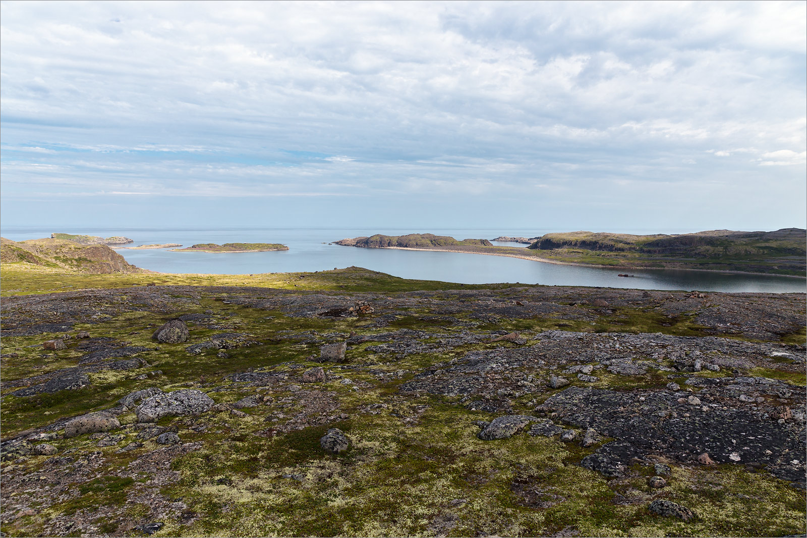 Дальние Зеленцы, image of landscape/habitat.