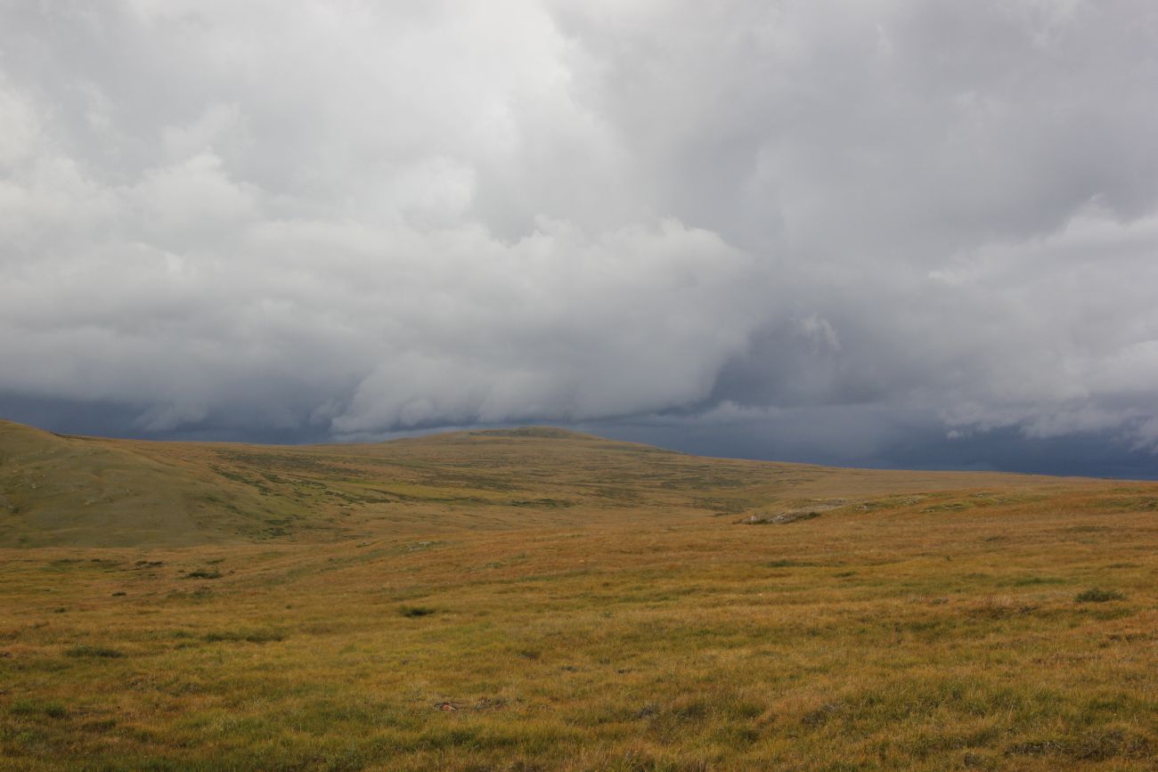 Исток правого притока Джумалы, image of landscape/habitat.