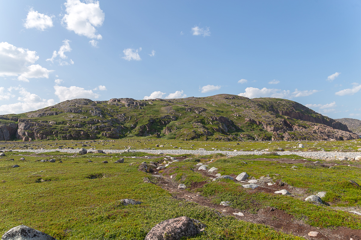 Териберка, image of landscape/habitat.