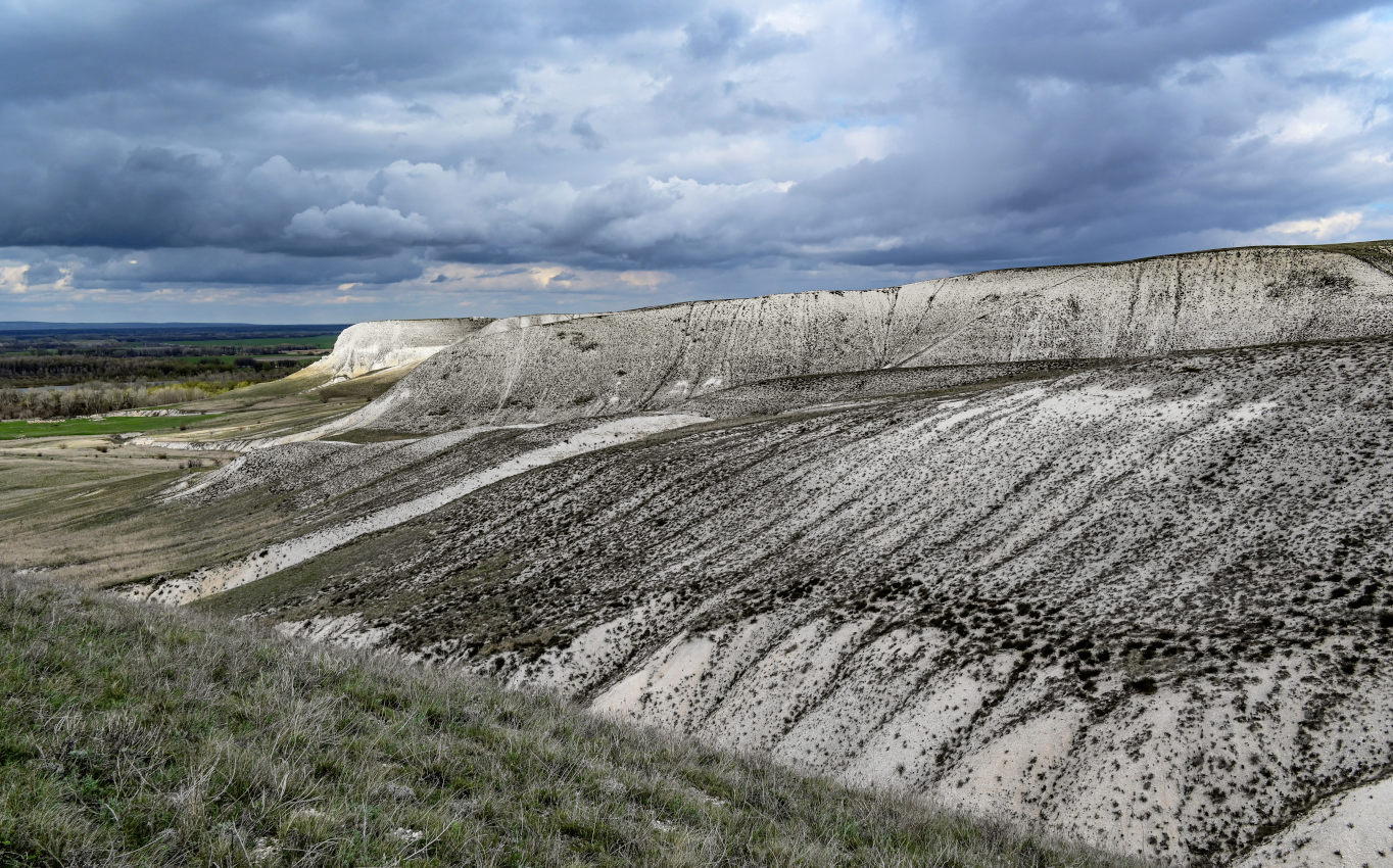 Природный парк "Донской", image of landscape/habitat.