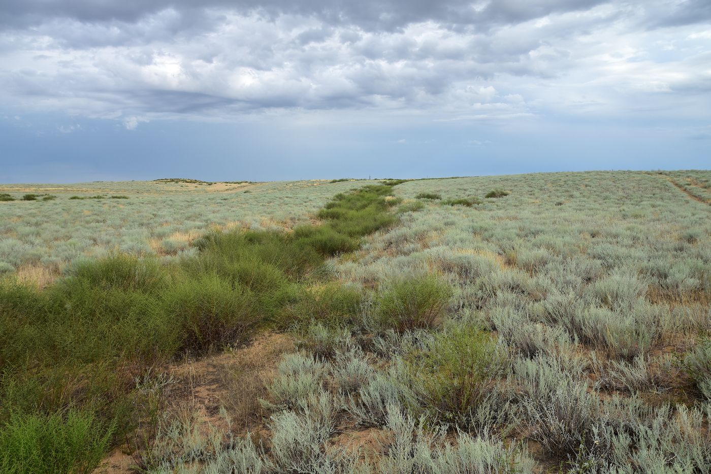 Бархан Большой Брат, image of landscape/habitat.