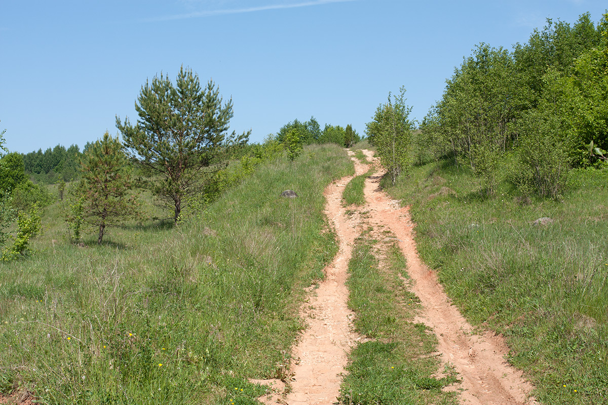 Изборско-Мальская долина, image of landscape/habitat.