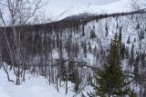 ПАБСИ и окрестности, image of landscape/habitat.