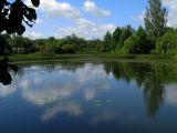 Чемеровка, image of landscape/habitat.