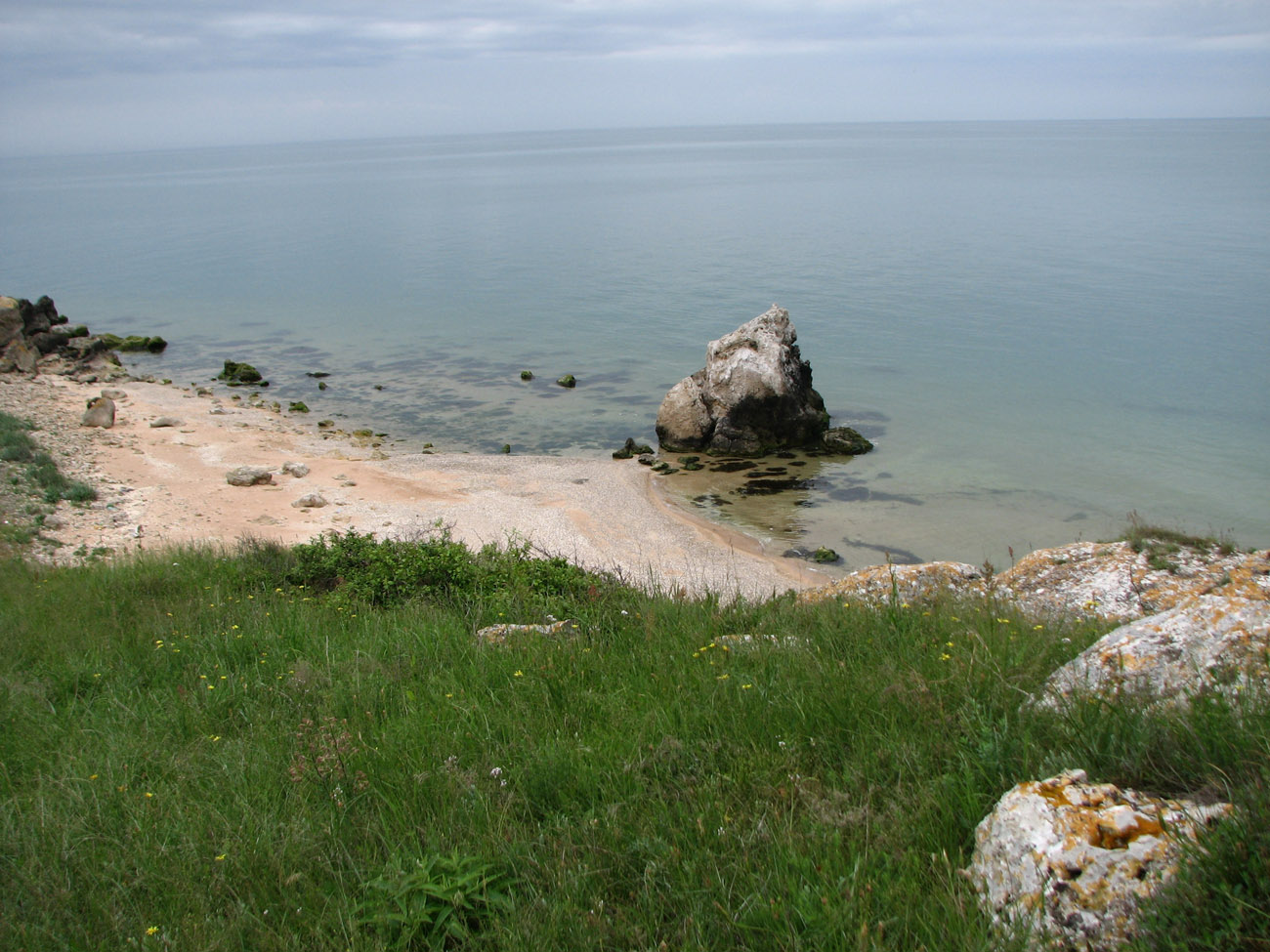 Караларская степь, image of landscape/habitat.