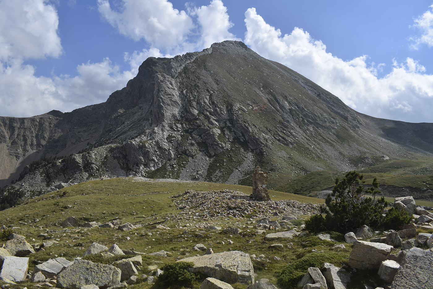 Вальтер 2000, image of landscape/habitat.