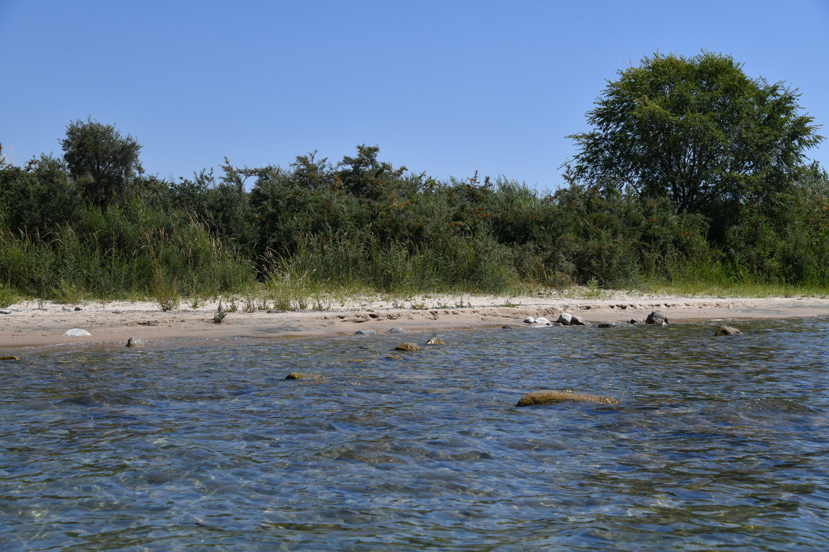 Чолпон-Ата, image of landscape/habitat.