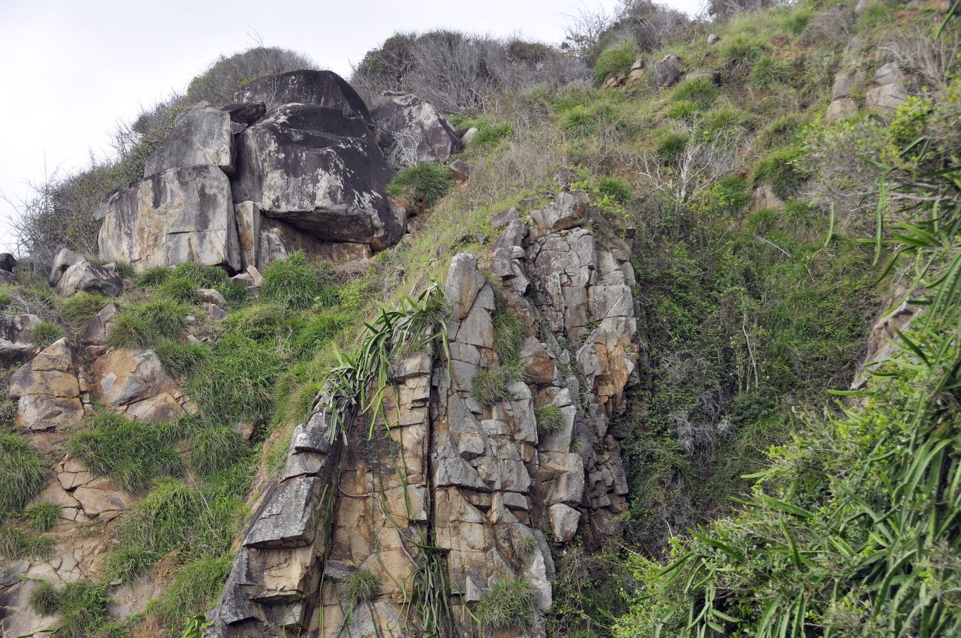 Нячанг, image of landscape/habitat.