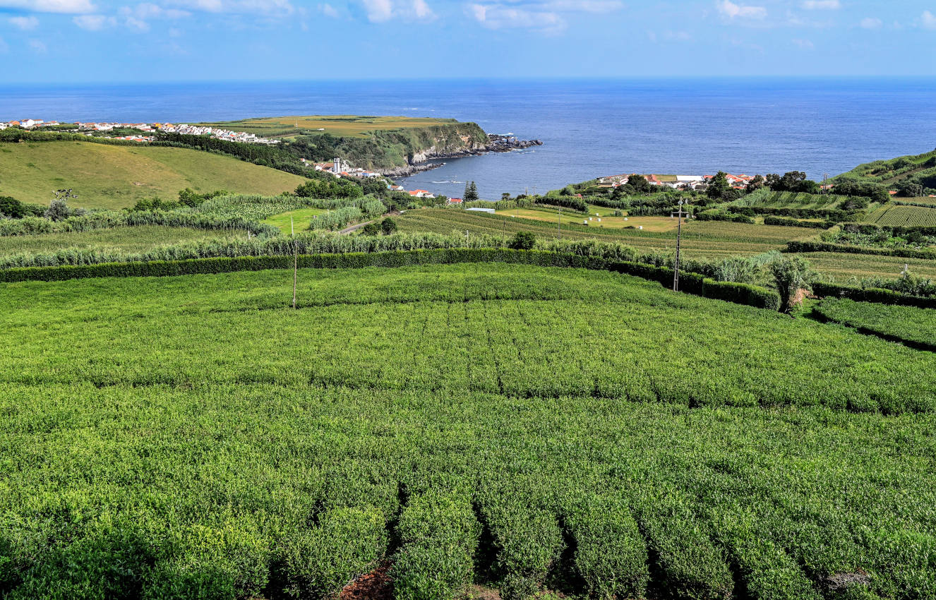 Порту-Формозу, изображение ландшафта.