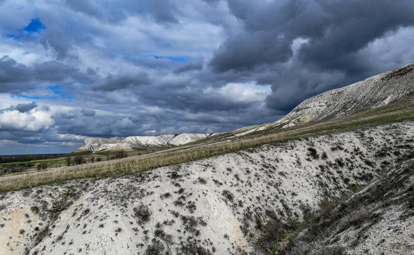 Природный парк "Донской", image of landscape/habitat.