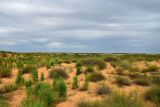 Image of landscape