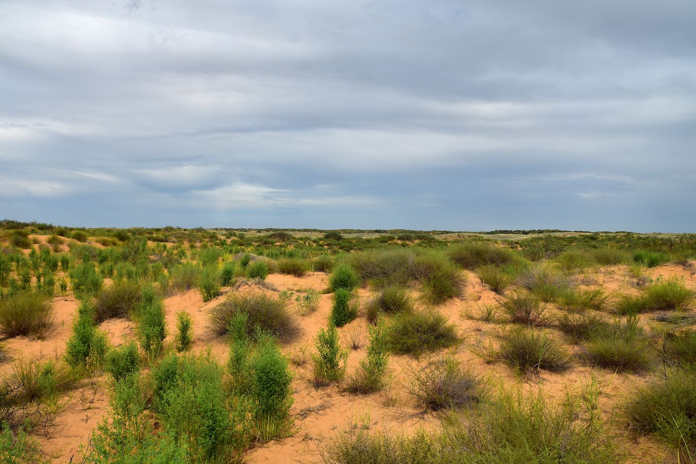 Бархан Большой Брат, image of landscape/habitat.