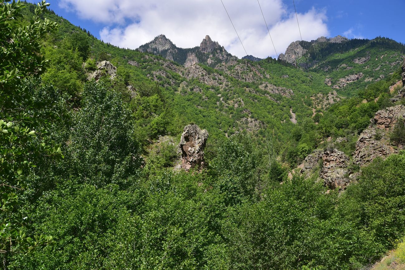 Окрестности храма Отхта, image of landscape/habitat.