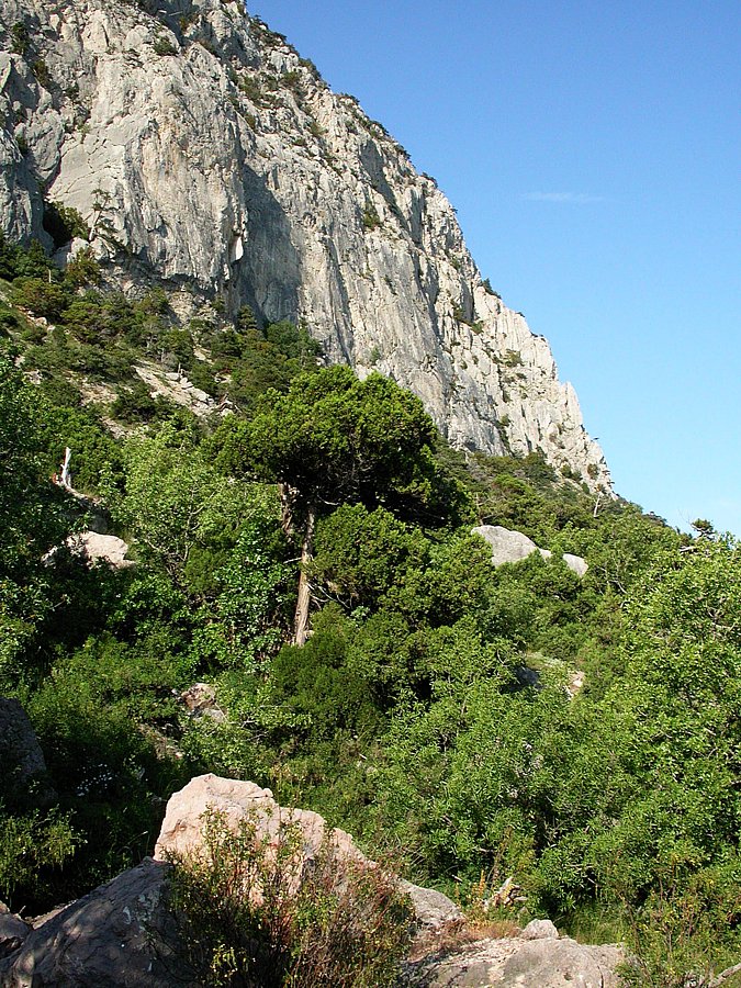 Батилиман, image of landscape/habitat.