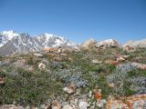 Image of landscape