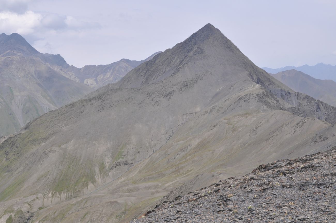 Окрестности перевала Чаухи, image of landscape/habitat.