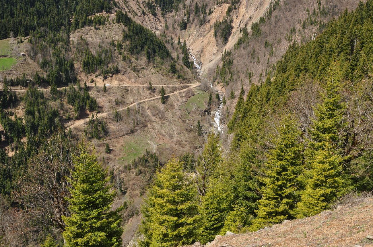 Окрестности монастыря Парехи, image of landscape/habitat.