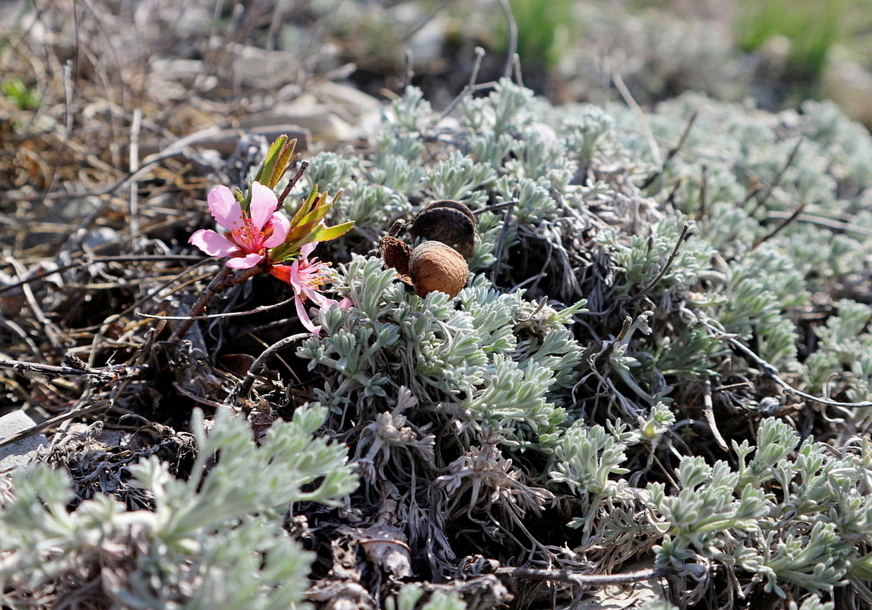 Окрестности Геленджика, image of landscape/habitat.